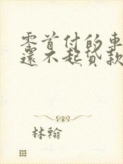 零首付的车如果还不起贷款怎么办