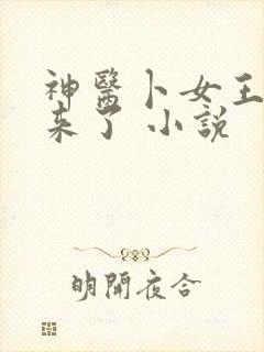 神医卜女王妃回来了 小说