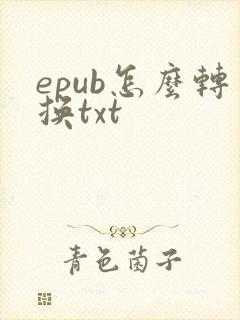 epub怎么转换txt