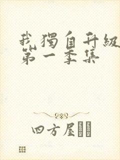 我独自升级动漫第一季集