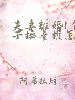 夫妻离婚1个孩子抚养权怎么判定