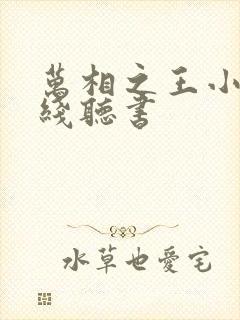 万相之王小说在线听书