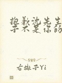 抱歉沈先生,孩子不是你的短剧免费播放