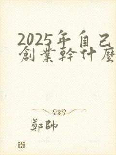 2025年自己创业干什么行业最赚钱