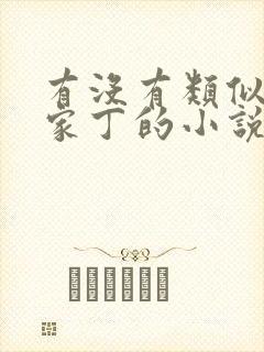 有没有类似极品家丁的小说