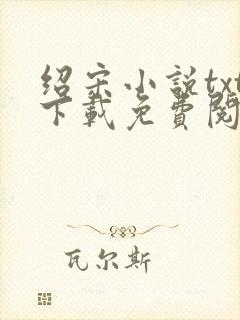 绍宋小说txt下载免费阅读