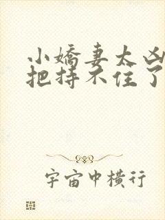 小娇妻太凶陆爷把持不住了全集网盘