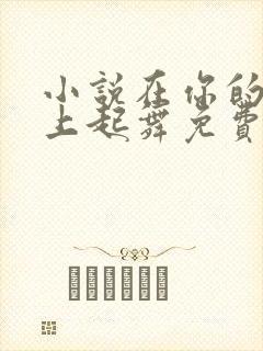 小说在你的心尖上起舞免费阅读