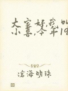 大家好,我叫林小喜,今年19岁小说