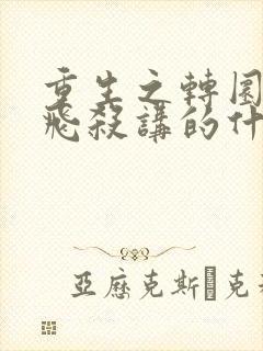 重生之转圜by飞杀讲的什么