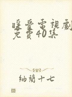 暖爱电视剧全集免费40集