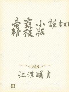 帝霸小说txt精校版