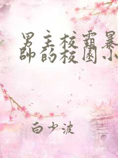 男主校霸暴戾痞帅的校园小甜文