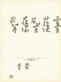 我在风花雪月里等你有没有续集