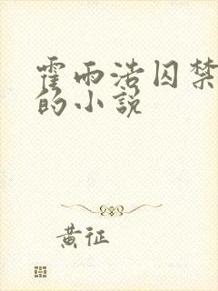 霍雨浩囚禁王冬的小说