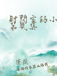 财阀家的小儿子第几集