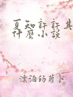 夏知许许其琛是什么小说