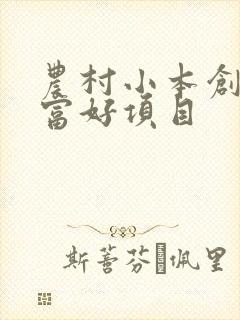 农村小本创业致富好项目