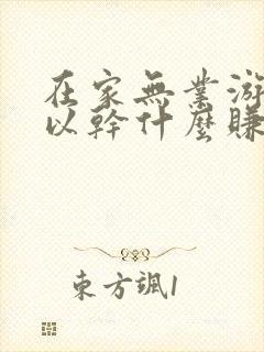 在家无业游民可以干什么赚钱