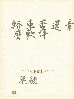 轿车查违章用什么软件