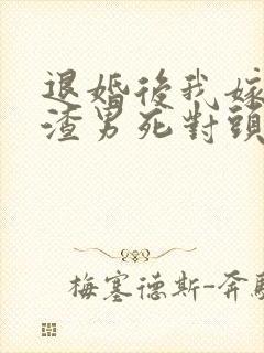 退婚后我嫁给了渣男死对头