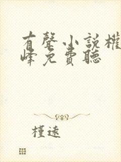 有声小说权力巅峰免费听