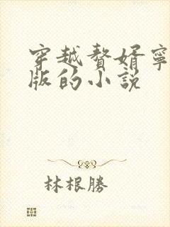 穿越赘婿宁毅肉版的小说