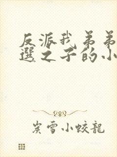 反派我弟弟是天选之子的小说