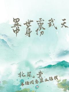 异世灵武天下陆中身份