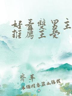 好看双男主小说推荐主受