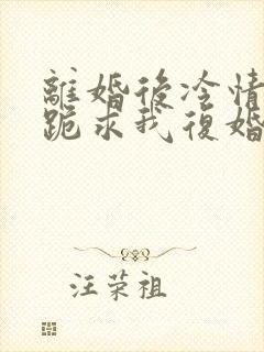 离婚后冷情前夫跪求我复婚舒婉商赫大结局