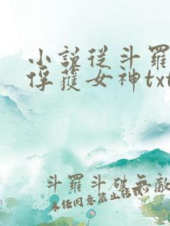 小说从斗罗开始俘获女神txt下载