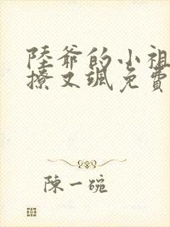 陆爷的小祖宗又撩又飒免费阅读