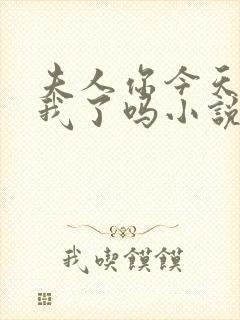 夫人你今天喜欢我了吗小说免费阅读