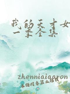 我的天才女友第一季全集