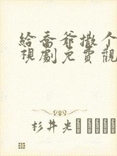 给乔爷撒个娇电视剧免费观看