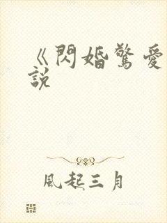 《闪婚惊爱》小说