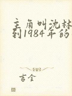 主角叫沈林重生到1984年的小说