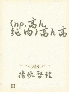(np,高h,纯肉)高h高辣文