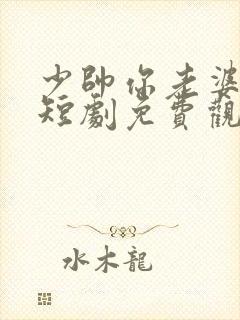 少帅你老婆跑了短剧免费观看