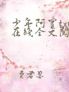 少年阿宾txt在线全文阅读