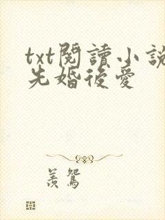 txt阅读小说先婚后爱
