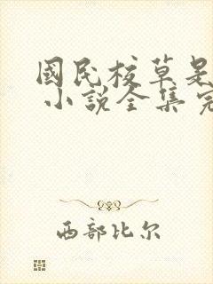 国民校草是女生 小说全集完整版txt