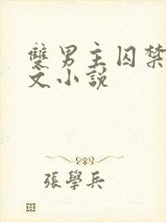 双男主囚禁生子文小说