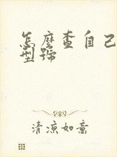 怎么查自己车子型号