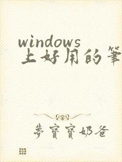 windows上好用的笔记软件