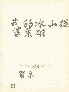 我的冰山总裁老婆叶雄