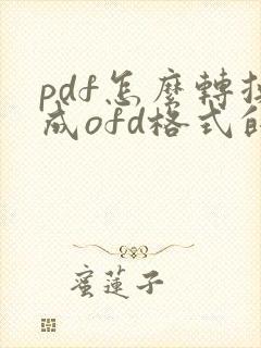 pdf怎么转换成ofd格式的电子发票的免费软件