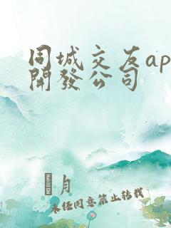 同城交友app开发公司