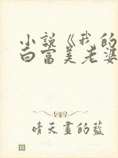 小说《我的总裁白富美老婆》